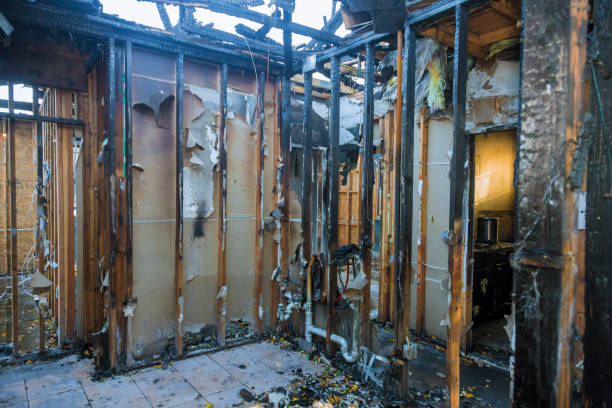 Professional Fire Damage Removal technician working in Northwood, OH
